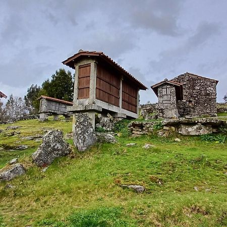 Casa Da Rosa Porreiras Villa Paredes de Coura Luaran gambar